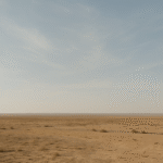 #020: 戦争の段階とは