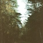 #031: ファシリティの共有