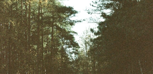 #031: ファシリティの共有